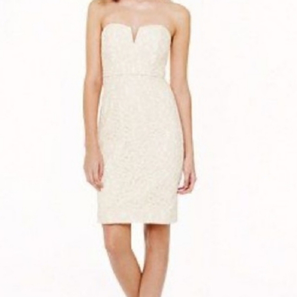 J.Crew Cathleen Leavers Romantic Cutwork  Lace Strapless Mini Dress NWT size 6P - Picture 12 of 12